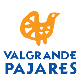 logo Valgrande Pajares